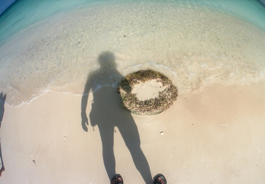 Lonely beach